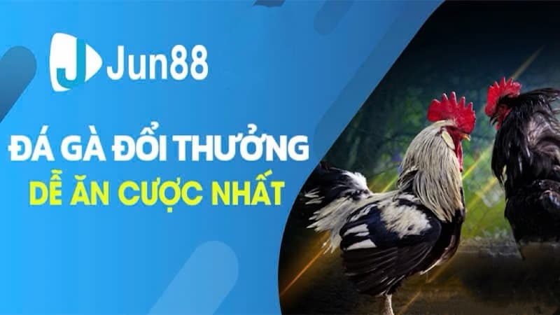 Thao tác dễ dàng, nạp rút an toàn tại Jun88